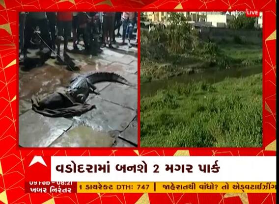 Crocodile Park : વડોદરામાં બનશે બે મગર પાર્ક, શહેરમાં ઘૂસી જતાં મગરોથી લોકોને મળશે રાહત