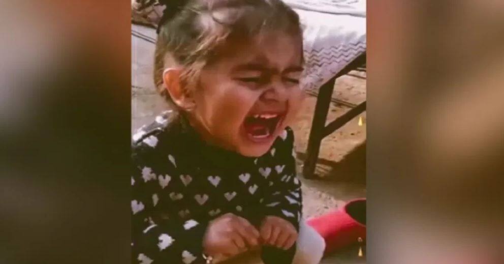 little girl funny video goes viral on social media Funny Video: ਮੇਰਾ ਪਤੀ ਕੌਣ ਹੈ... ਛੋਟੀ ਬੱਚੀ ਨੇ ਰੋਂਦੇ ਹੋਏ ਕਹੀ ਇਹ ਮਜ਼ੇਦਾਰ ਗੱਲ, ਵੀਡੀਓ ਦੇਖ ਕੇ ਹੱਸ-ਹੱਸ ਕਮਲੇ ਹੋ ਗਏ ਲੋਕ