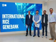 छत्तीसगढ़: फिलीपिंस के वैज्ञानिकों के साथ होगा चावल के नए किस्म का रिसर्च, किसानों की आय बढ़ाना लक्ष्य