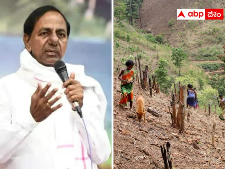 KCR has announced that those who do Podu farming should be punished. Is that possible? Podu Lands KCR : 
