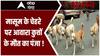Moradabad में आवारा कुत्तों के हमले से घायल बच्ची की हालत गंभीर ! | UP News | Abp Ganga Akshamya
