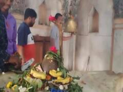 यूपी के इस मंदिर में मेंढक की होती है पूजा, शादीशुदा जोड़े की लिए है आस्था का केंद्र