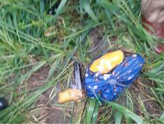 BSF On Border: ਫਿਰੋਜ਼ਪੁਰ ਸਰਹੱਦ 'ਤੇ BSF ਨੂੰ ਵੱਡੀ ਕਾਮਯਾਬੀ, 3 ਕਿਲੋ ਹੈਰੋਇਨ, ਚੀਨ ਦੀ ਬਣੀ ਪਿਸਤੌਲ ਬਰਾਮਦ