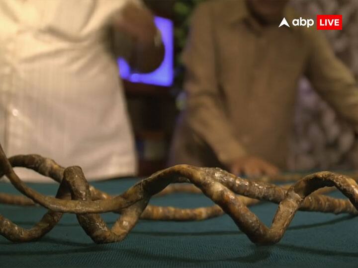 इतना ही नहीं श्रीधर चिल्लाल को अपने नाखून से इतना प्यार था कि उन्होंने अपने कटे हुए नाखूनों को म्यूजियम में रखने का अनुरोध किया, जो की आज भी म्यूजियम में प्रदर्शनी के तौर पर है.