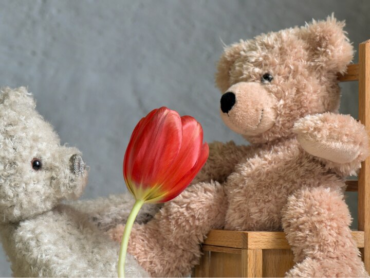 Teddy Day 2023: टेडी से भी ज्यादा क्यूट हैं ये टेडी डे मैसेज, भेज कर देखिए कैसे खुशी से चमकती है पार्टनर की नजर