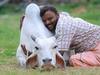 Cow Hug Day: கலாய்த்து தள்ளிய நெட்டிசன்கள்.. பசு அணைப்பு தின அறிவிப்பை திரும்ப பெற்ற விலங்குகள் நல வாரியம்..!