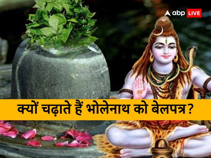 Mahashivratri 2023 in February why belpatra used in lord shiva bholenath pujan shiv ji belpatra Mahashivratri 2023: महाशिवरात्रि पर शिवजी को बेलपत्र चढ़ाने से क्या होता है? नहीं जानते तो यहां पढ़ें इसके लाभ