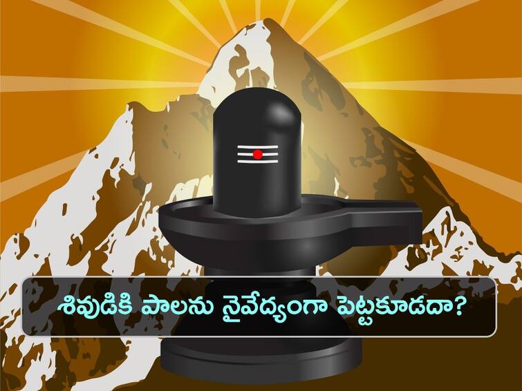 shiva-ratri-pooja-rules-which-you-never-use-to-miss