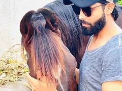 Ravindra Jadeja Net Worth: घोड़ों के शौकीन हैं रवींद्र जडेजा, जानिए कितनी है कुल संपत्ति और BCCI से कितनी मिलती है सैलरी