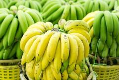 Banana : जळगावात निर्यातक्षम केळीचा प्रथमच तुटवडा