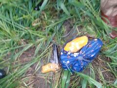 भारत-पाकिस्तान सीमा पर बीएसएफ को बड़ी सफलता, 3 किलो हिरोइन, चीन निर्मित पिस्टल बरामद