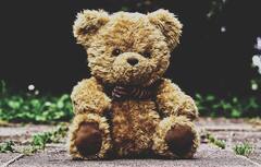 Teddy Day : காதலர் தின வாரத்தில் கொண்டாடப்படும் டெடி டே.. எப்போது, எப்படி கொண்டாடலாம்? இதோ டிப்ஸ்!