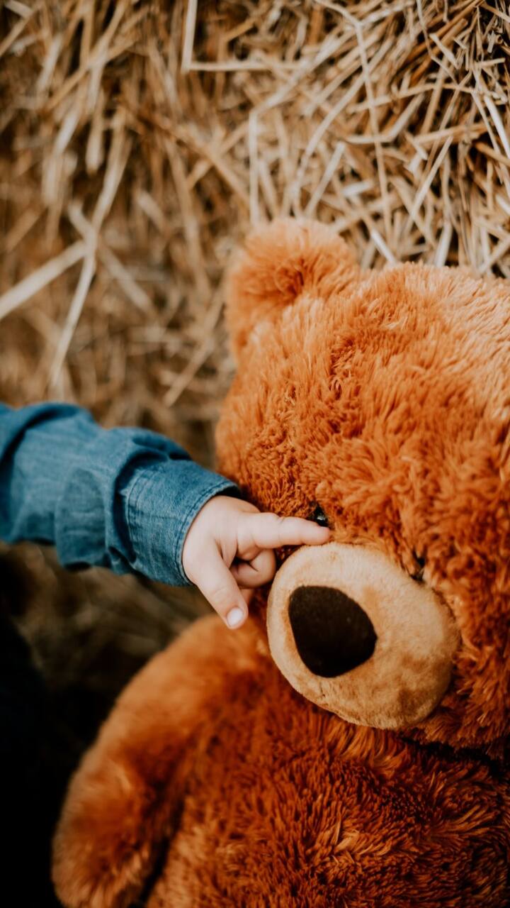 बाजारात अनेक रंगांचे टेडी उपलब्ध आहेत. यात लाल, गुलाबी आणि पांढऱ्या रंगांचे टेडी सर्वात आवडते असतात.