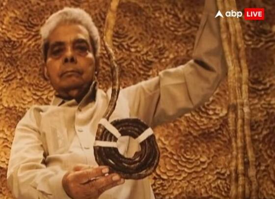 ਸ਼੍ਰੀਧਰ ਚਿੱਲਾਲ ਪੁਣੇ, ਮਹਾਰਾਸ਼ਟਰ ਦੇ ਰਹਿਣ ਵਾਲੇ ਹਨ, ਉਨ੍ਹਾਂ ਨੇ 1952 ਤੋਂ ਬਾਅਦ ਆਪਣੇ ਖੱਬੇ ਹੱਥ ਦੇ ਨਹੁੰ ਨਹੀਂ ਕੱਟੇ, ਉਨ੍ਹਾਂ ਦੇ ਅੰਗੂਠੇ ਦੇ ਨਹੁੰ ਦੀ ਲੰਬਾਈ 197.8 ਸੈਂਟੀਮੀਟਰ ਸੀ ਜਦੋਂ ਕਿ ਸਾਰੇ ਨਹੁੰਆਂ ਦੀ ਸੰਯੁਕਤ ਲੰਬਾਈ 909.6 ਸੈਂਟੀਮੀਟਰ ਸੀ।