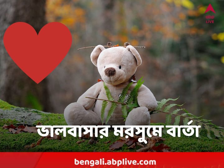 Teddy Day : টেডি ডে-তে ছোট্ট একখানি টেডি দিয়ে প্রিয়জনকে প্রতীকী আদর পাঠাতে পারেন। সেই সঙ্গে দিন সোহাগী বার্তা।