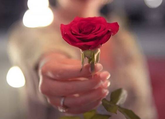 सध्या बाजारात गुलाबांच्या फुलांचे दर वाढले आहेत. याचा शेतकऱ्यांना फायदा होत आहे.