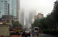 Weather : महाराष्ट्रात पुन्हा थंडी वाढणार, वाचा हवामान विभागाचा अंदाज