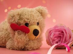 Teddy Day : காதலர் தின வாரத்தில் கொண்டாடப்படும் டெடி டே.. எப்போது, எப்படி கொண்டாடலாம்? இதோ டிப்ஸ்!