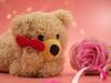 Teddy Day : காதலர் தின வாரத்தில் கொண்டாடப்படும் டெடி டே.. எப்போது, எப்படி கொண்டாடலாம்? இதோ டிப்ஸ்!