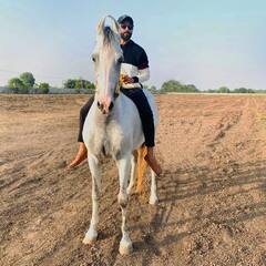 Ravindra Jadeja Net Worth: घोड़ों के शौकीन हैं रवींद्र जडेजा, जानिए कितनी है कुल संपत्ति और BCCI से कितनी मिलती है सैलरी