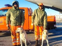 भारत के रोमियो और जूली ने बचाई 6 साल की बच्ची की जान, जानिए कौन हैं... जिन्हें दुनिया कर रही सलाम