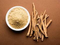 निरोगी आणि चमकदार केसांसाठी अश्वगंधा गुणकारी; 'असा' वापर करा, तुम्हाला अनेक फायदे मिळतील