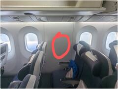 हवाई यात्रा के दौरान विंडो सीट के लिए शख्स ने चुकाए एक्स्ट्रा पैसे, सीट को देख उड़े होश