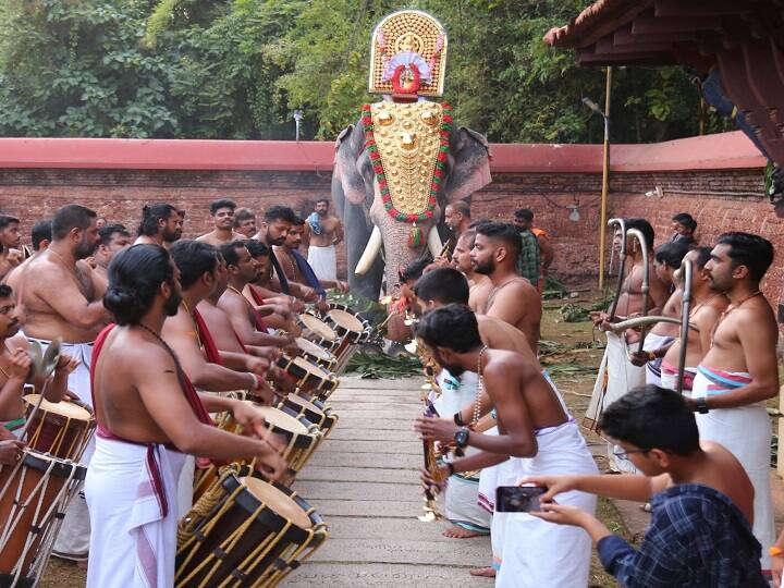 Kerala adores elephants but they don't care about the senior citizens here is the complete detail abpp हाथियों पर प्यार, लेकिन अपने बने बेसहारा; केरल का यह सच जानिए