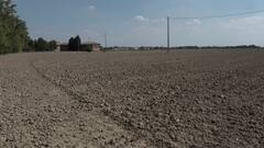 களர், உவர் நிலங்களை சீர்திருத்தம் செய்யுங்கள்; உயர் விளைச்சல் பெறலாம் - வழிகாட்டும் வேளாண் துறை