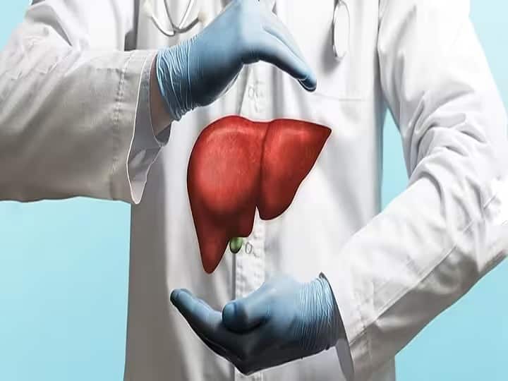 Health Tips hepatitis b causes inflammation of the liver marathi news Health Tips : यकृताचा आजार आरोग्यासाठी धोकादायक; 'ही' लक्षणं दिसल्यास सावधान