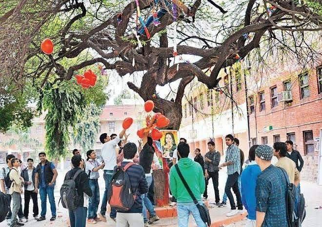 इवेंट को होस्ट करने वाले वेंकटेश ने कहा कि इस कार्यक्रम को इसलिए शुरू किया गया था, क्योंकि लोग प्यार का सेलिब्रेशन चाहते थे. उन्होंने कहा कि इस कार्यक्रम में हर साल कई लड़कियां भी शामिल होती हैं.