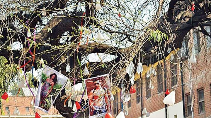गुब्बारों के साथ बॉलीवुड हीरोइन को दमदमी माई बनाकर 'दमदमी माई' की फोटो भी लगाई जाती है. सभी छात्र इकट्ठे होते हैं, जिसमें से एक छात्र पुजारी बनकर पूजा कराता है. हीरोइन ही नहीं, इसके अलावा बॉलीवुड एक्टर्स की भी फोटो लगा दी जाती है.