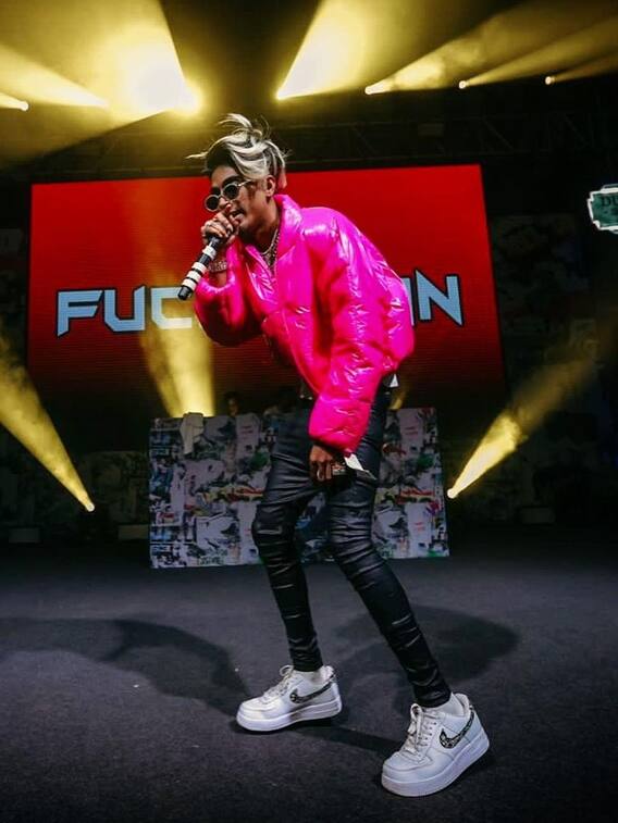 इस वजह से विवादों में रहे Mc stan