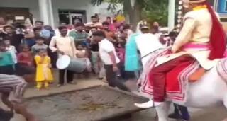 Viral Video: ਪਟਾਕਿਆਂ ਦੀ ਆਵਾਜ਼ ਕਾਰਨ ਬੇਕਾਬੂ ਹੋਈ ਘੋੜੀ, ਬਾਰਾਤ ਦੇ ਵਿਚਕਾਰ ਲਾੜੇ ਨਾਲ ਭੱਜੀ… ਦੇਖੋ ਵੀਡੀਓ
