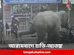 হুগলির আরামবাগের লোকালয়ে ঢুকে পড়ল হাতি ! গোটা শহরজুড়ে জারি সতর্কতা, জারি ১৪৪ ধারা