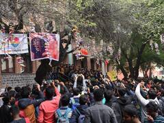 दिल्ली यूनिवर्सिटी के हिंदू कॉलेज में पार्टनर पाने के लिए होती है पेड़ की पूजा