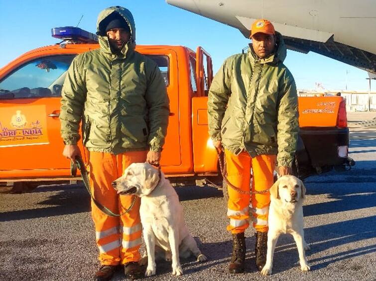 Turkey Tragedy Julie, Romeo, Honey, Rambo India's Pawsome Rescue Team Turkey Tragedy: టర్కీ రెస్క్యూ ఆపరేషన్‌లో రోమియో జూలీ,NDRF బృందాలకు సహకారం