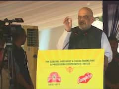 'Congress Strengthens Anti-National Elements, Can Never Protect Karnataka': Amit Shah In Puttur