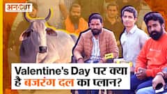 Valentine Day 2023: वैलेंटाइन डे पर क्या है Bajrang Dal का प्लान, Cow Hug Day पर क्या बोले