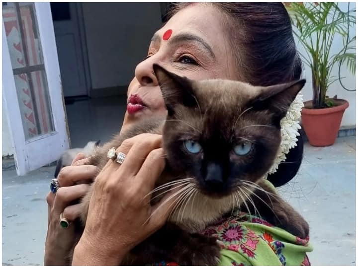 मालिनी ने इसका जिक्र एक चैनल के कार्यक्रम में किया था. वहीं, 2018 के दौरान ट्विटर पर भी अपना दर्द बयां किया था. मालिनी के मुताबिक, अधिकारियों का कहना था कि हम ऊपर से आने वाले ऑर्डर फॉलो कर रहे हैं. इसके बाद वह बिना रिकॉर्डिंग किए ही गुस्से में लौट गई थीं.