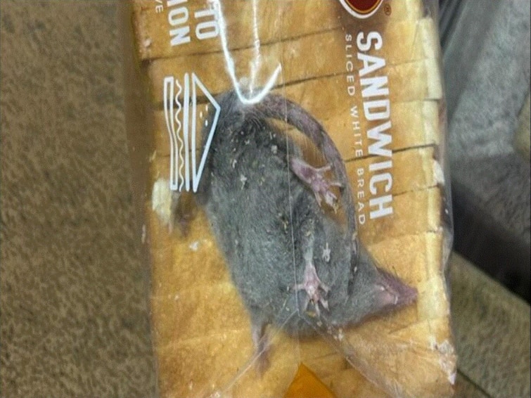 Man Finds Live Rat Inside Packet Of Bread Delivered By Blinkit Twitter Is Annoyed Man Finds Live Rat Inside Packet Of Bread Delivered By Blinkit, Twitter Is Annoyed