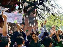 दिल्ली यूनिवर्सिटी के हिंदू कॉलेज में पार्टनर पाने के लिए होती है पेड़ की पूजा
