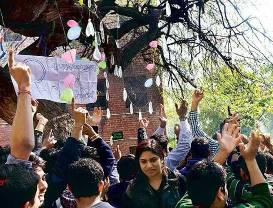हर साल वैलेंटाइन डे के दिन हिंदू कॉलेज के लड़के इस पेड़ की पूजा करते हैं. ये पूजा लड़के अपनी वर्जिनिटी खोने के लिए किया करते हैं