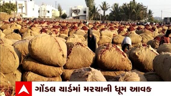 Gondal: ચાલુ વર્ષે મરચાના ભાવમાં થયો ધરખમ વધારો