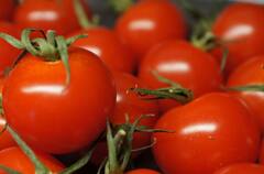 ਪ੍ਰੋਸਟੇਟ ਕੈਂਸਰ ਦੇ ਖਤਰੇ ਨੂੰ ਕਿਵੇਂ ਕਰ ਸਕਦੇ ਘੱਟ? ਆਪਣੀ ਡਾਈਟ 'ਚ ਸ਼ਾਮਲ ਕਰੋ ਇਹ ਹੈਲਥੀ ਫੂਡਸ