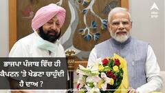 Punjab News: ਭਾਜਪਾ ਪੰਜਾਬ ਵਿੱਚ ਹੀ ਕੈਪਟਨ 'ਤੇ ਖੇਡਣਾ ਚਾਹੁੰਦੀ ਹੈ ਦਾਅ ?