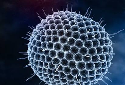 9 students, Teacher Of UP Primary School Infected With Chickenpox உத்திரப்பிரதேசத்தில் 9 மாணவர்கள், ஆசிரியருக்கு சின்னம்மை பாதிப்பு