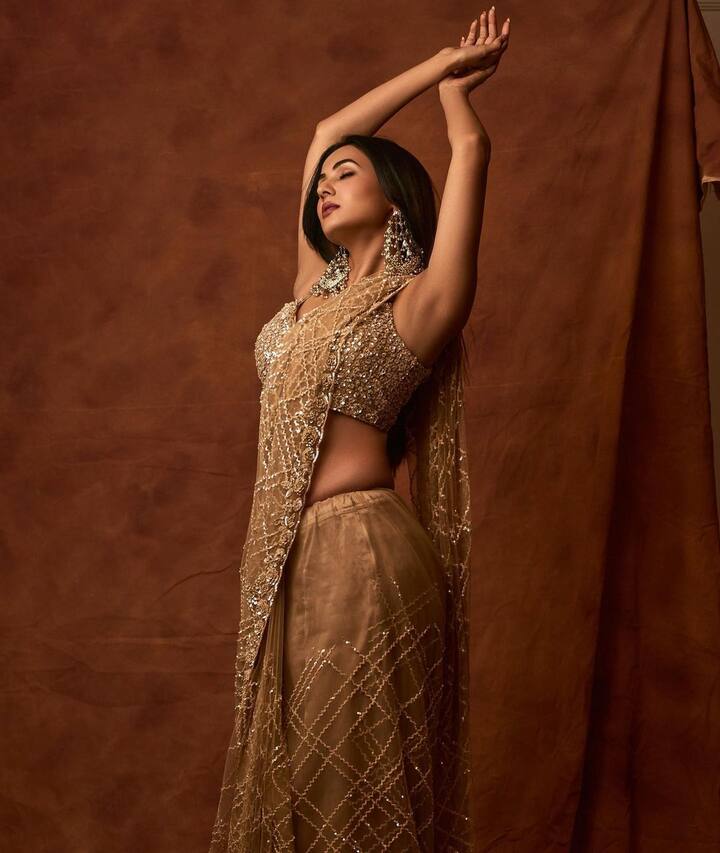 सोनल चौहानने यामध्ये गोल्डन कलरचा लेहेंगा परिधान केला आहे.