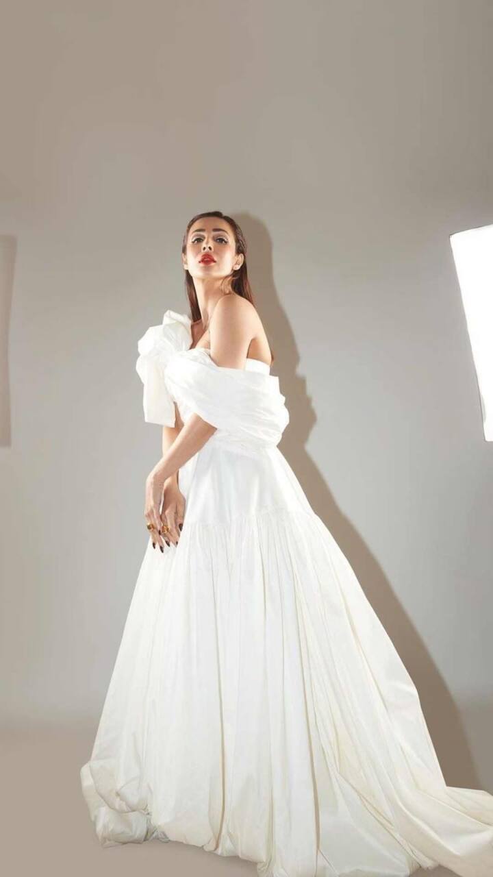 मलायकाने अलीकडेच तिचे काही फोटो सोशल मीडियावर शेअर केले आहेत.