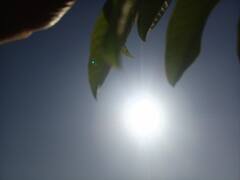 छत्तीसगढ़ में फरवरी की शुरुआत में ही तेज गर्मी, मौसम में आज से होगा बड़ा बदलाव